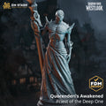 Quorenderi’s Awakened - Priest of the Deep One by DM Stash; supplied unpainted in gray resin