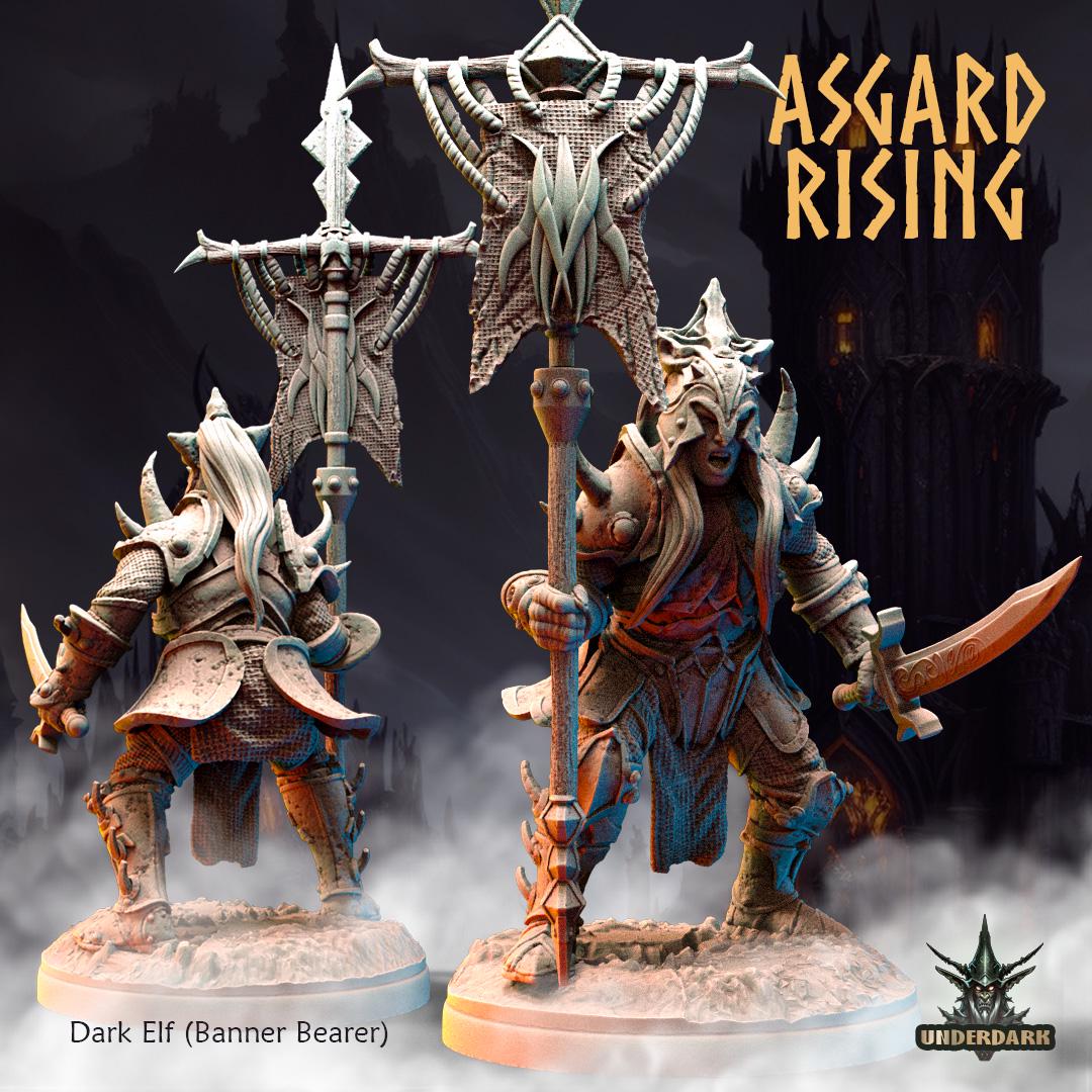 Dark Elves Warband -  Resin DnD Miniatures - Asgard Rising  | Unpainted