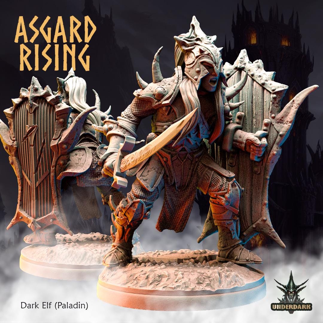 Dark Elves Warband -  Resin DnD Miniatures - Asgard Rising  | Unpainted