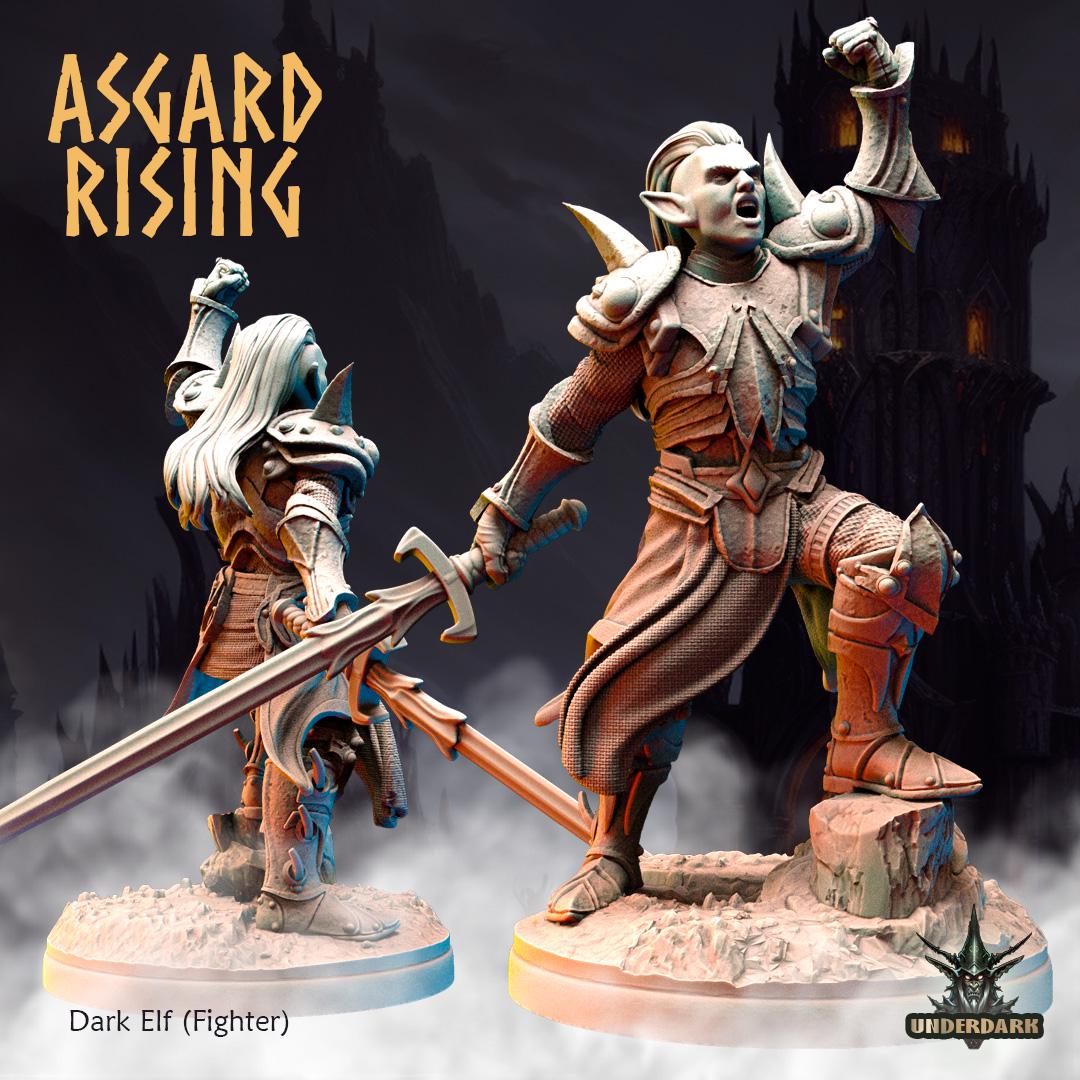 Dark Elves Warband -  Resin DnD Miniatures - Asgard Rising  | Unpainted