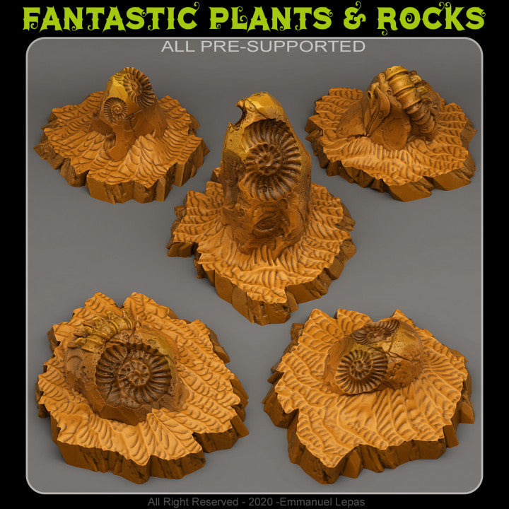 Fossil Rocks — creator render; models supplied unpainted