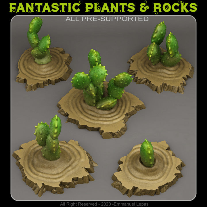 Egyptian Cactuses — creator render; models supplied unpainted