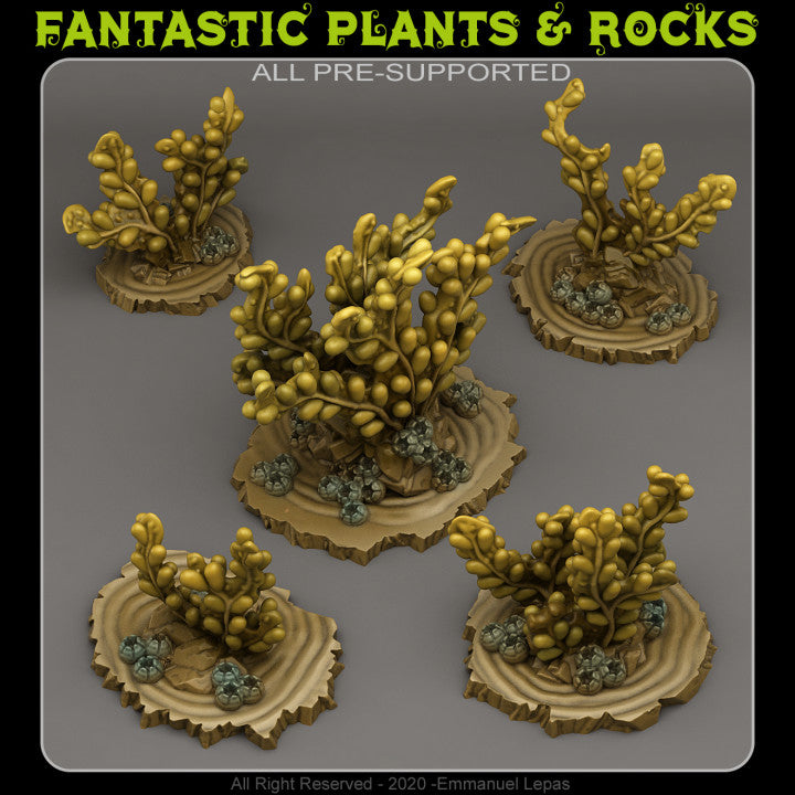 Giant Brown Algae — creator render; models supplied unpainted
