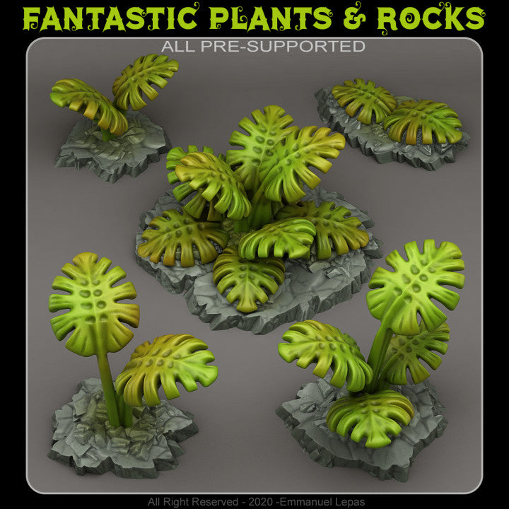Green Monstera — creator render; models supplied unpainted