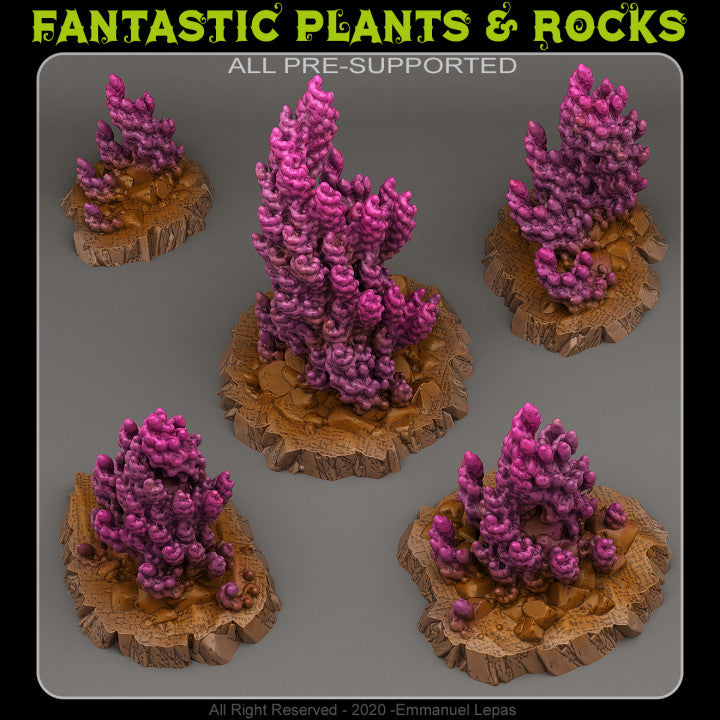 Majestic Twisted Anemones — creator render; models supplied unpainted
