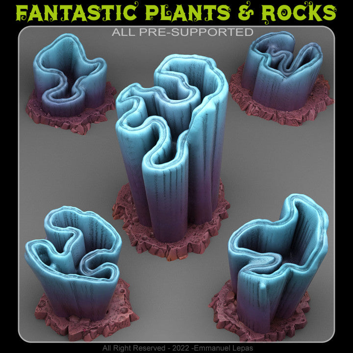 Aurora Borealis Coral — creator render; models supplied unpainted