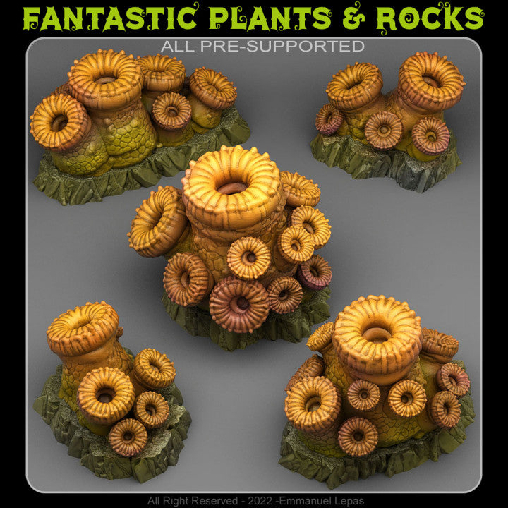 Cannon Coral — creator render; models supplied unpainted