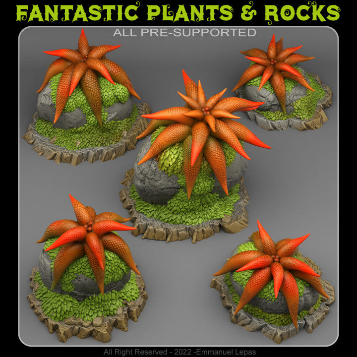 Mysterious Starfish Flowers — creator render; models supplied unpainted