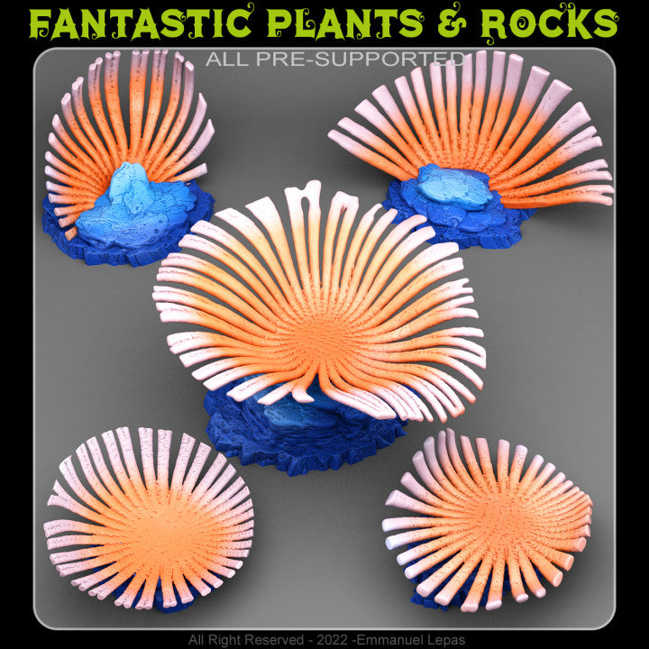 Seafan Coral — creator render; models supplied unpainted