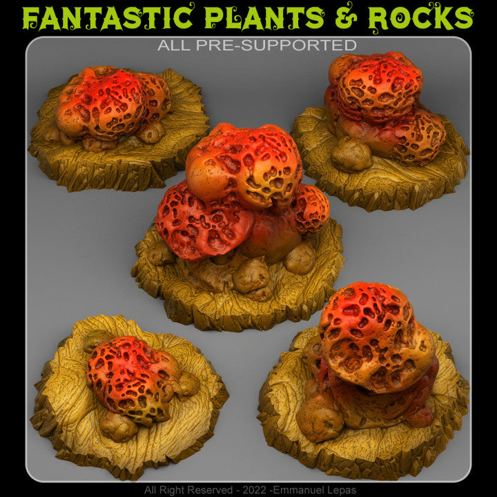 Wormhole Mushrooms — creator render; models supplied unpainted