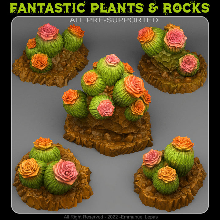 Cactus Flowers — creator render; models supplied unpainted