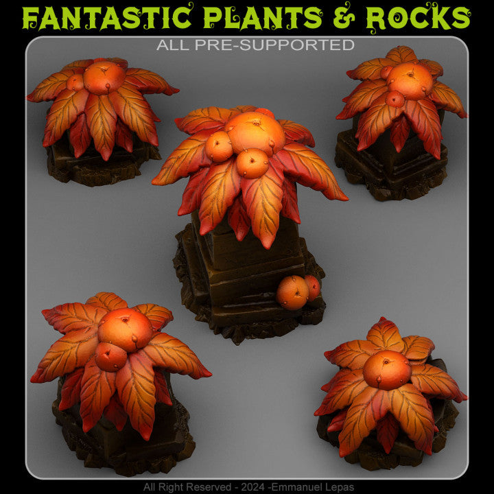 Maya Mushroom Flowers — creator render; models supplied unpainted
