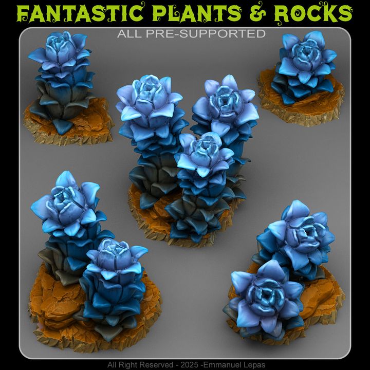 Night Desert Plants — creator render; models supplied unpainted