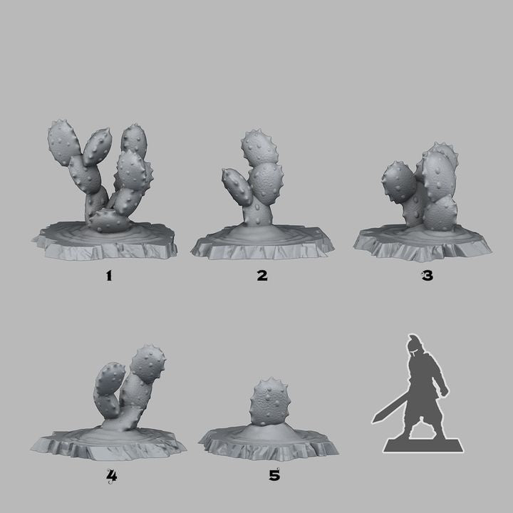 Egyptian Cactuses — creator scale reference; reference figure not included
