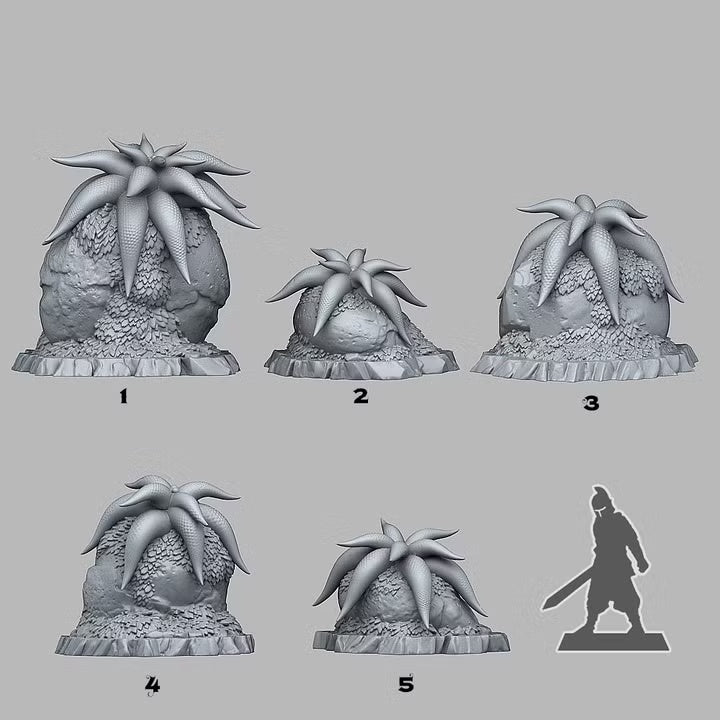 Mysterious Starfish Flowers — creator scale reference; reference figure not included