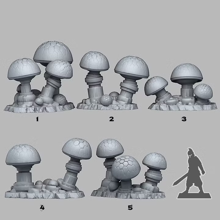 Data Shrooms — creator scale reference; reference figure not included